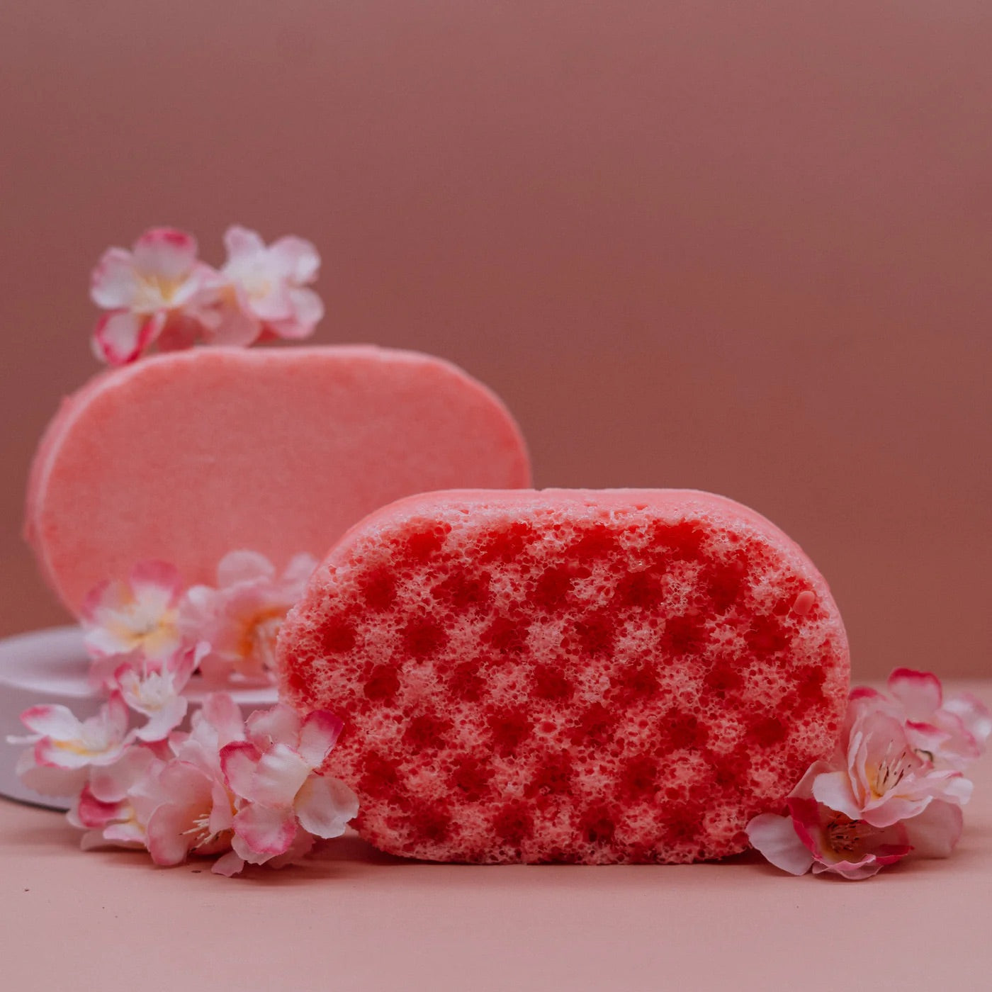 Fairytale Soap Sponge