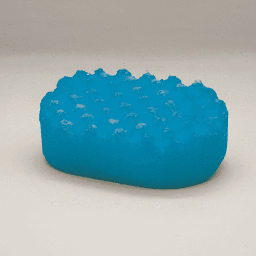 Savage Soap Sponge